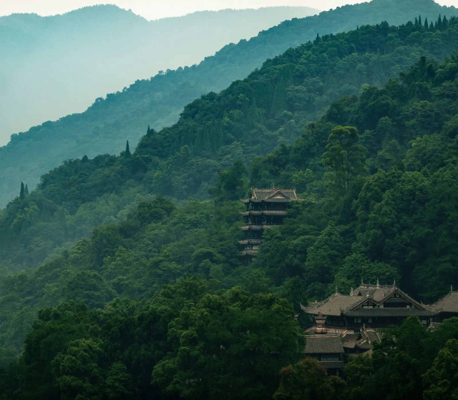 网络图片，仅用于开发测试，正式上线后应替换成产品图片